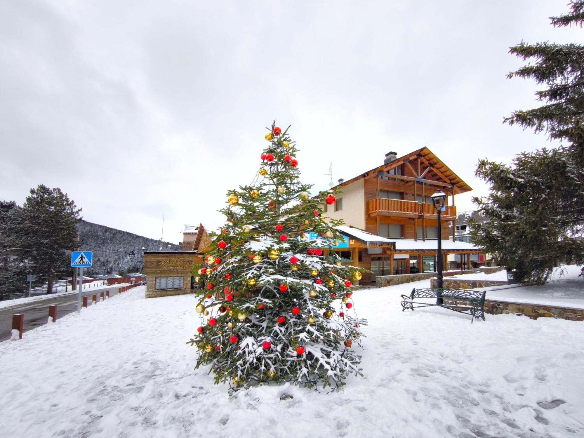 A Pie De Pistas De La Molina, La Mejor Ubicacion Apartment La Molina  Luaran gambar